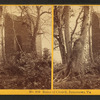 Ruins of church, Jamestown, Va.