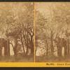 Church yard, Jamestown, Va.