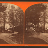 View of roadway leading to the boat house, from the tomb of Washington, Mt. Vernon.