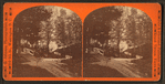 View of roadway leading to the boat house, from the tomb of Washington, Mt. Vernon.