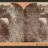 Natural bridge, Va., U.S.A.