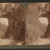 One of nature's curious structures - the famous Natural Bridge, Rockbridge County, Virginia.