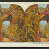 Natural Bridge, Virginia.