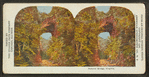 Natural Bridge, Virginia.