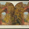 Natural Bridge, Virginia.