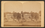 Forrest Inn, Natural Bridge.