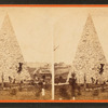 Monument to Confederate Dead.
