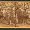 Laurel Hill Cemetery.