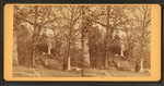 Laurel Hill Cemetery.