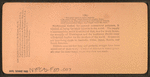 Cutting timber in the state of Washington, U.S.A.