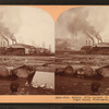 Port Blakely Mills, largest in the world, near Seattle, Puget Sound, Washington, U.S.A.