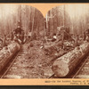 In the lumber regions of Washington, a walking dudley.