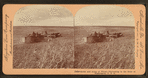 Acres and acres of wheat, harvesting in the state of Washington, U.S.A.