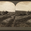Harvesting in the great West, combined reaper and thresher,  Washington, U.S.A.