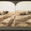 Harvesting in the great West, combined reaper and thresher,  Washington, U.S.A.