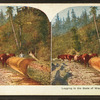 Logging in the state of Washington.