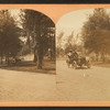 Scene in Couer d'Alene Park (Spokane, Wash.)