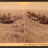 Evolution of sickle and flail, 33 horse team harvester, cutting, threshing and sacking wheat, Walla Walla, Washington.