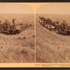 Evolution of sickle and flail, 33 horse team harvester, cutting, threshing and sacking wheat, Walla Walla, Washington.