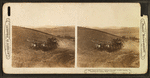 Twenty-six horse combined harvester at work, reaping, threshing and sacking, Wash., U.S.A.