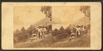 View on the Potomac, Harper's Ferry in the distance.