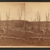 Grove where tornado passed. [1878.]