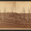 Grove where tornado passed. [1878.]