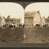 Group of modern dairy barns and herd of Holstein cattle at Lake Mills, Wis.