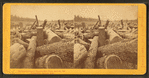 The Great log jam at Chippewa Falls Boom, April 6th 1869.