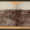 Devasted in moment, New Richmond, Wis., June 12, 1899.