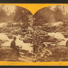 Jam of logs, Willow River Falls, Wis.