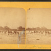 Skating scene, R. R. Park, mill and elevator, before the crowd got there.  New Richmond, Feb. 1878.