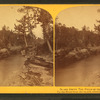 In and about the Dells of Wisconsin. Up the River from the mouth of coldwater Cañon.