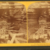 In and about the Dells of Wisconsin. Entrance to Panthom Chamber, in Witches' Gulch.