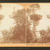 Leaping to Stand Rock, Wisconsin Dells, Wis., U.S.A.