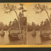 In and about the Dells of Wisconsin River. River view, 'Dell Queen' passing Leland's Point.