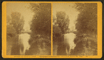 Boy on a path near a creek or canal.