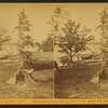 Steamer 'Gertie' from Mr. G.L. Dunlap's Grounds.