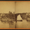 Scenery at Lake Geneva, Mr. Fairbank's residence.