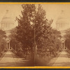 State Capitol, Madison, Wisconsin.