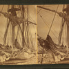["Barque "Parana" shrouded in ice, Mar. 6, 1873.]