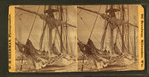 ["Barque "Parana" shrouded in ice, Mar. 6, 1873.]