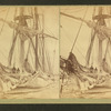 Barque Parana" shrouded in ice, Mar. 6, 1873.