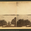 View of the lake, rowboat and sailboat.