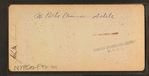 W. Peter's steamer Adele.