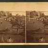 From H.H. Sheffield's House south. [view of the garden.]