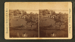 From H.H. Sheffield's House south. [view of the garden.]