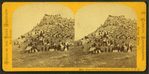 View of Pine Bluff and Editorial Party, U.P.R.R.