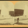 Old Faithful Geyser, Yellowstone National Park.