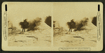 Cone of the Giant Geyser (diam. inside 5 feet), Yellowstone Park, U.S.A.